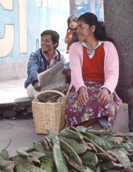 IbarraVegVendorsWeb1.jpg (39522 bytes)