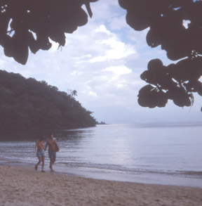 IlhaGrandeCoupleWalksBeachDCropWeb.jpg (27462 bytes)