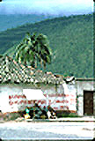 bbecumtrfrtstndweb.JPG (19384 bytes)