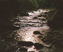 bbstream.JPG (25794 bytes)